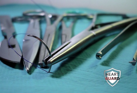 PROJECT STATUS - Heart Guard - AUGUST