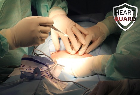 Cardiac acidosis detected by Heart Guard in first preclinical study