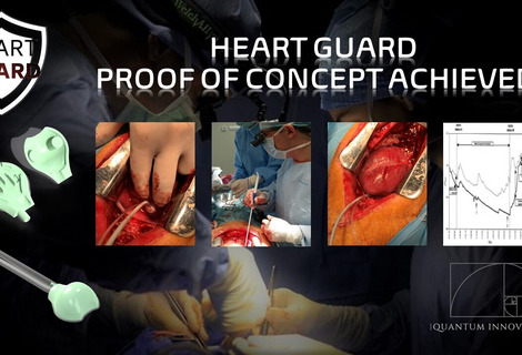 Heart Guard achieved Proof-of-Concept! 